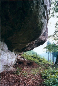 Abri an der Hohen Leuchte im Reinhäuser Wald